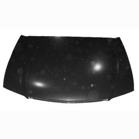 Acura TSX 2004-2005 Hood Panel - AC1230114