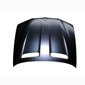 2004-2006 BMW X5 Hood - OEM# 41617121102 - BM1230126-3