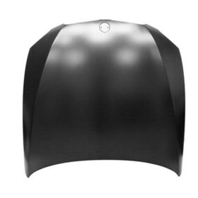 BMW 3 Series Convertible 2011-2013 Hood Panel - BM1230140