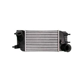 Nissan Juke 2011-2014 Turbocharger Intercooler/charge Air Cooler 1.6l L4 Turbo - CAC010041