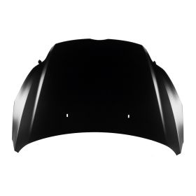 Hood- All Models Oem# Cp9Z16612B