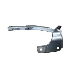 Fits Various Models - Call Us To Confirm! Driver Side Hood Hinge - Best Value - FO1236190OEM #LB5Z16797A