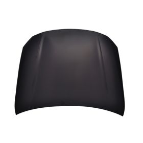 2010-2015 Honda Accord Crosstour - Hood - HO1230163