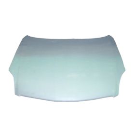 2003-2007 Infiniti G35 Coupe Hood Plastic - IN1230106-3