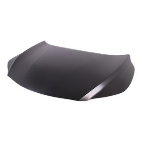 Lexus Rx350 2016-2019 Hood Panel - LX1230131