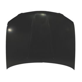 2004-2006 Nissan Sentra Hood - OEM# F51006Z530 - NI1230165-3