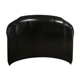 2021-2023 Nissan Armada Hood - Best Value - NI1230230