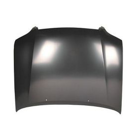 2001-2007 Toyota Sequoia Hood - TO1230179-2