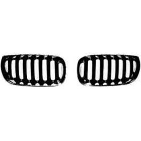 BMW X3 2004-2006 Passenger Side Grille - BM1200169