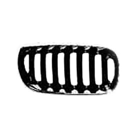 BMW X3 2005-2006 Driver Side Grille - BM1200170