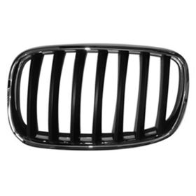 BMW X6 2007-2013 Driver Side Grille - BM1200180
