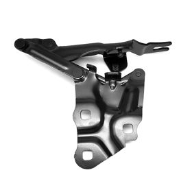2011-2017 Bmw X4 Passenger Side Hood Hinge - Best Value ? - BM1236113-2 OEM #41617262876
