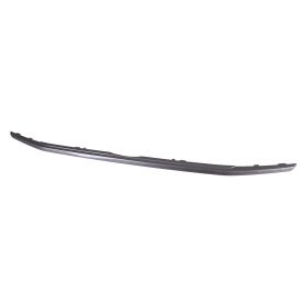 2018-2022 Ford Ecosport Lower Grille Molding - Best Value - FO1216116OEM #GN1Z8200KA