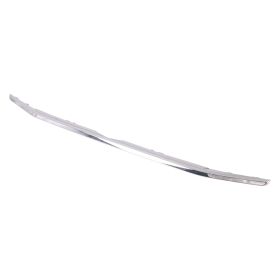 2018-2022 Ford Ecosport Lower Grille Molding - Best Value - FO1216117OEM #GN1Z8200JA