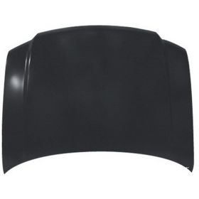 Ford Expedition 2003-2006 Hood Panel - FO1230224C