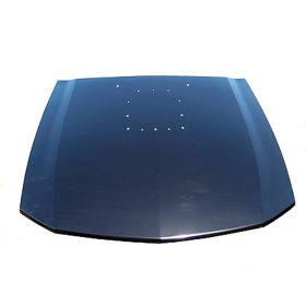 Ford Mustang 2005-2009 Hood Panel - FO1230286C