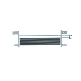 Ford 500 2005-2007 Automatic Transmission Oil Cooler Assembly - FO4050124