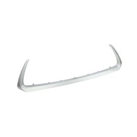 Lexus Ct200h 2014-2017 Front Lower Bumper Cover Grille Molding - LX1044107