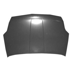 2007-2012 Nissan Sentra Hood - NI1230172-2