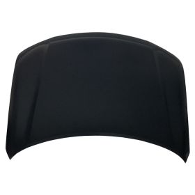 Nissan Armada 2017-2019 Hood Panel - NI1230214