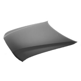 2001-2004 Toyota Tacoma Hood - TO1230133-2