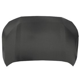 Toyota Rav4 2019 Hood Panel - TO1230252