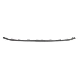 2018-2021 Volkswagen Tiguan Front Center Bumper Cover Grille Molding - Best Value - VW1044112