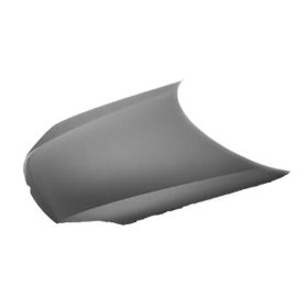 Volkswagen Gti 2006-2009 Hood Panel - VW1230135