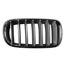 Grille, Rh (Passenger Side)- Chrome/Titanium Gray- W/O Night Vision- X-Line Sport / M-Pkg Models Oem# 51117303108
