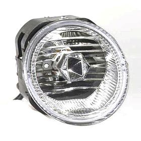 Fog Lamp  Rh (Passenger Side) Oem# 261505M125